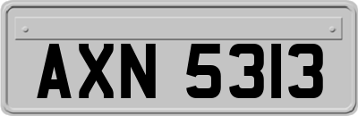 AXN5313