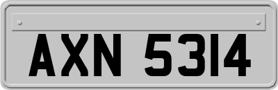 AXN5314