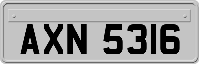 AXN5316