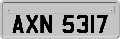 AXN5317