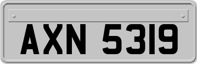 AXN5319