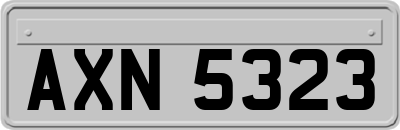 AXN5323