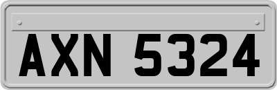 AXN5324