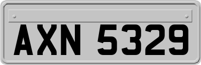 AXN5329