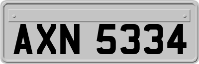 AXN5334