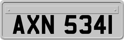 AXN5341