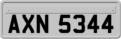 AXN5344