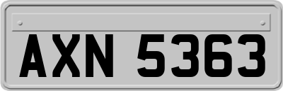 AXN5363