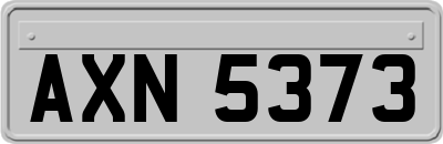 AXN5373