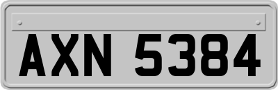 AXN5384