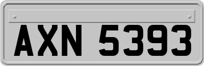 AXN5393