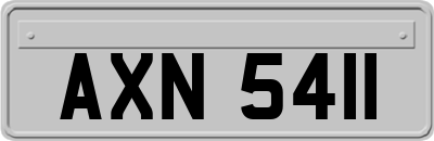 AXN5411