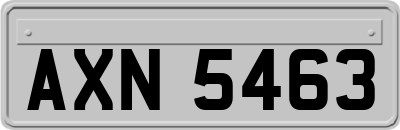 AXN5463