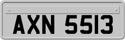 AXN5513
