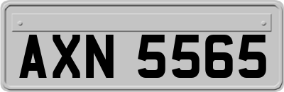 AXN5565