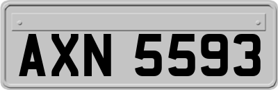 AXN5593