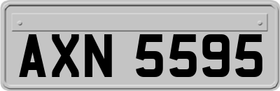 AXN5595