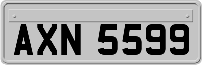 AXN5599