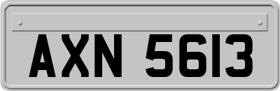 AXN5613
