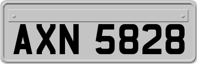AXN5828