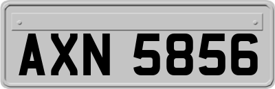 AXN5856
