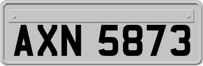 AXN5873