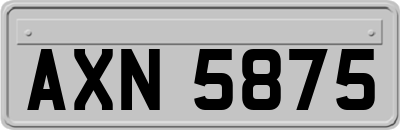 AXN5875