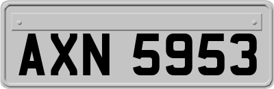 AXN5953
