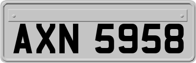 AXN5958