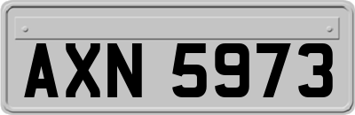 AXN5973