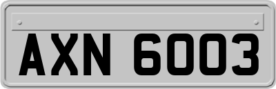 AXN6003