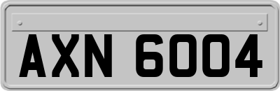 AXN6004