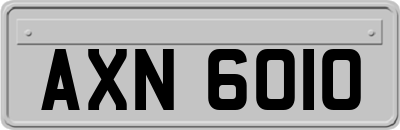 AXN6010
