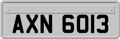 AXN6013