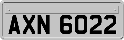 AXN6022