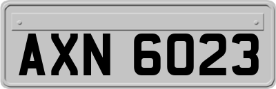 AXN6023