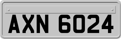 AXN6024