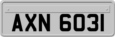 AXN6031
