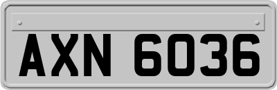 AXN6036