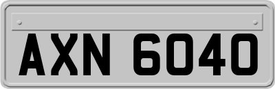 AXN6040
