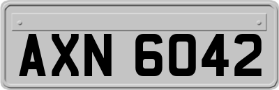 AXN6042