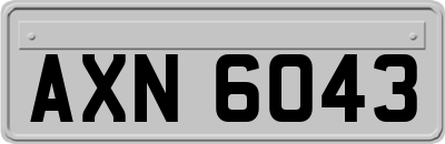 AXN6043