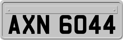 AXN6044