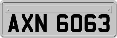 AXN6063