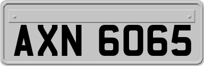 AXN6065