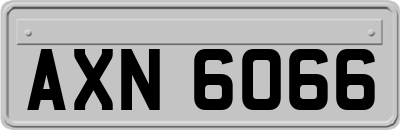 AXN6066