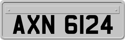 AXN6124