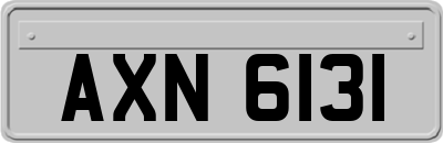 AXN6131
