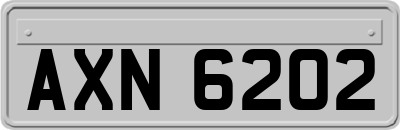 AXN6202