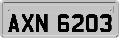 AXN6203